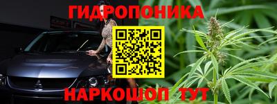 стафф Кандалакша