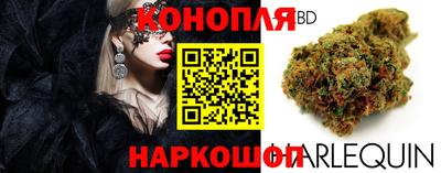 стафф Кандалакша