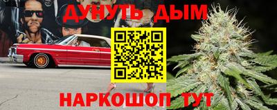 стафф Кандалакша