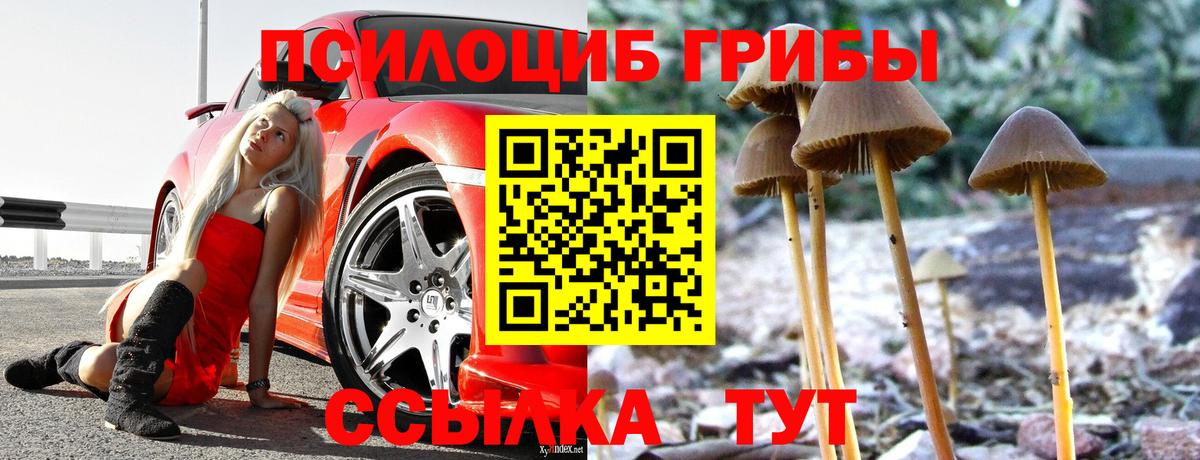 Псилоцибиновые грибы Magic Shrooms Корсаков