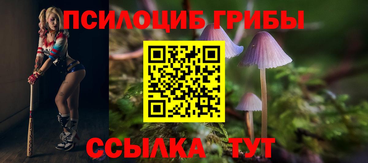 где можно купить   Вход с VPN  Корсаков  Галлюциногенные грибы прущие грибы 